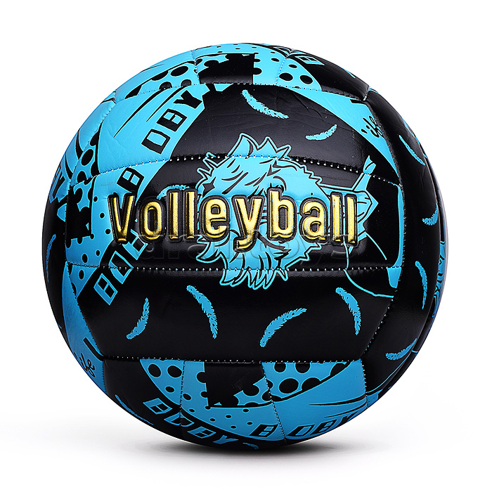 Мяч волебойбольный
