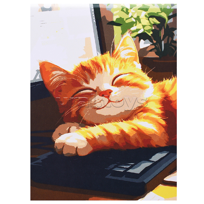 Холст с красками 30x40 по номерам