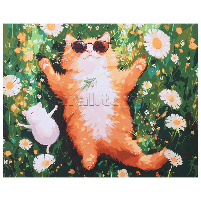 Холст с красками 40x50 по номерам