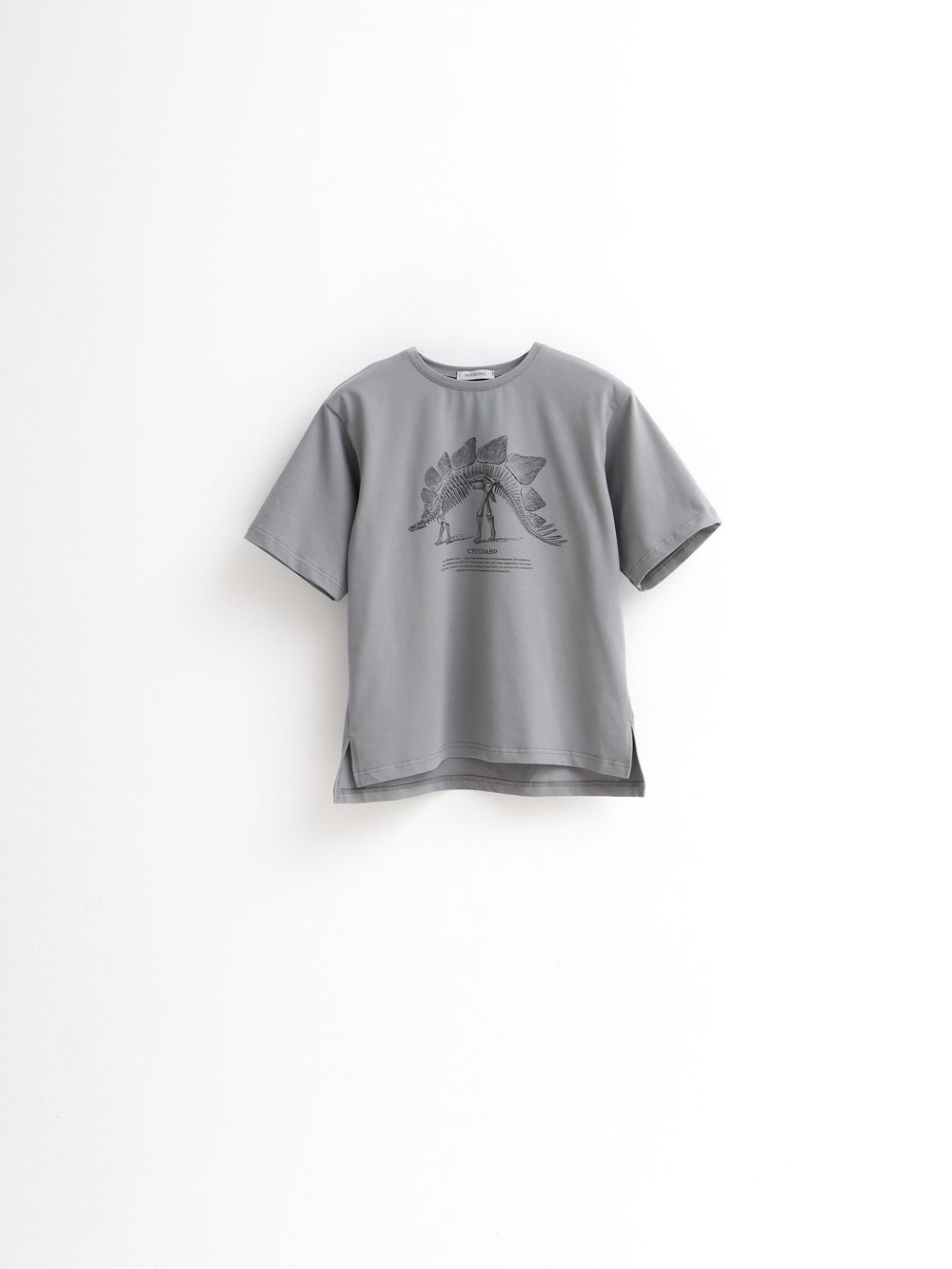 Футболка oversize принт Стегозавр акула