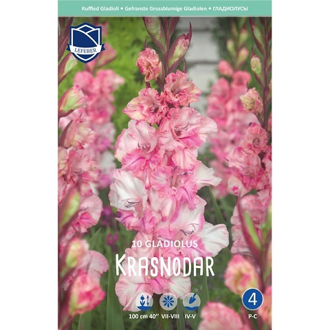 Гладиолусы Краснодар 12/14 (уп.10) ЛЕФЕБЕР 86920