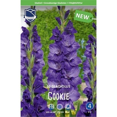 Гладиолусы Куки 14/16 (уп.10) ЛЕФЕБЕР 81040