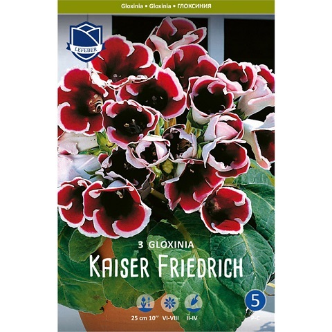 Глоксиния Кайзер Фридерик 5/+ (уп.3) ЛЕФЕБР 09150