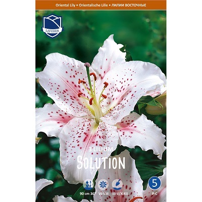 Лилии Солюшн 16/+ (уп.3) ЛЕФЕБР 69960 Восточная