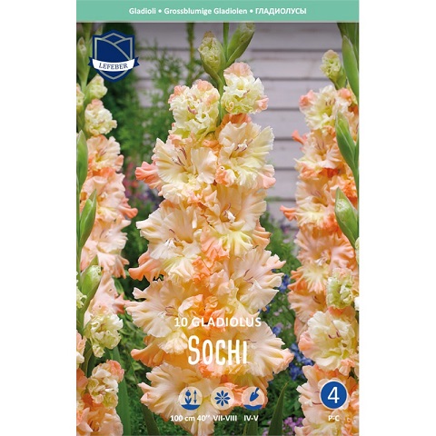 Гладиолусы Сочи 12/14 (уп.10) ЛЕФЕБЕР 84820