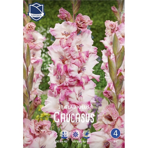 Гладиолусы Кавказ 12/14 (уп.10) ЛЕФЕБЕР 82320