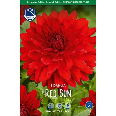 Георгина Ред Сан 1 шт ЛЕФЕБР 70711