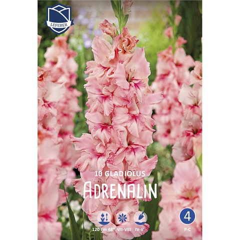 Гладиолусы Адреналин 14/16 (уп.10) ЛЕФЕБЕР 80840