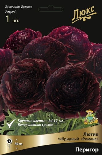 Ранункулюс Лютик