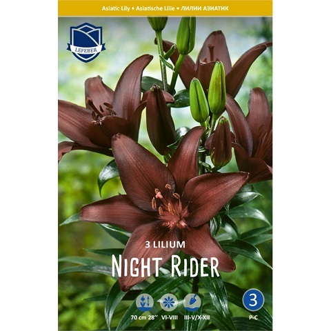 Лилии Найт Райдер 14/+ (уп.3) ЛЕФЕБЕР (Аз.) 62940