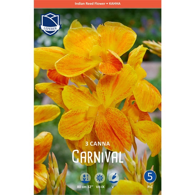 Канна Карнавал (уп.3) ЛЕФЕБР 90910