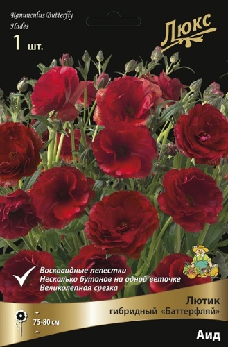 Ранункулюс Лютик