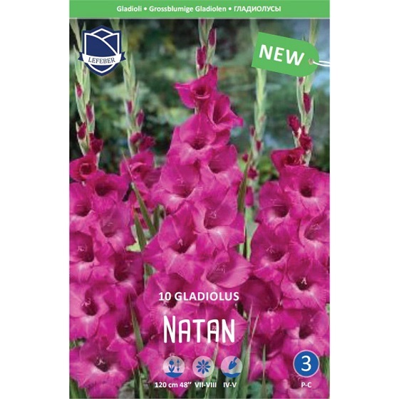 Гладиолусы Натан 12/14 (уп.10) ЛЕФЕБР 873 20