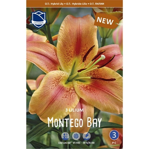 Лилии Монтего Бэй 16/+ (уп.3) ЛЕФЕБЕР, ОТ-гибриды 68760