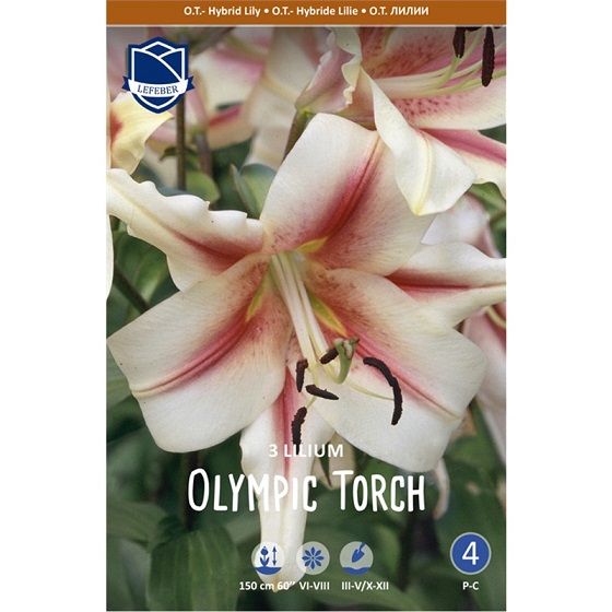 Лилии Олимпик Тач 16 /+ (уп.3) ЛЕФЕБР ОТ-гибриды 68260