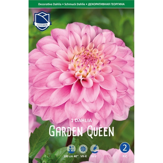 Георгина Гарден Квин 1 шт ЛЕФЕБР 77310