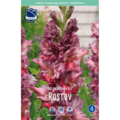 Гладиолусы Ростов 12/14 (уп.10) ЛЕФЕБЕР 83620