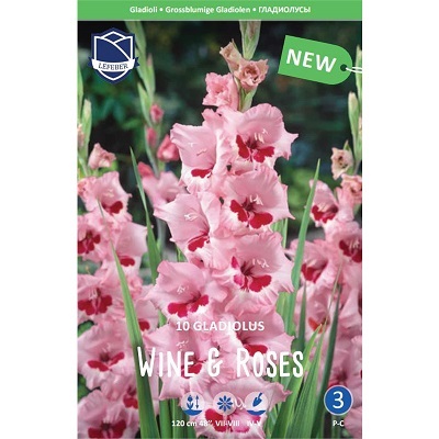 Гладиолусы Вайн энд Роуз 14/16 (уп.10) ЛЕФЕБР 83440