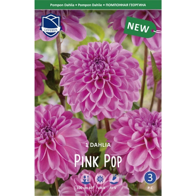 Георгина Пинк Поп 1 шт ЛЕФЕБР (помпонная) 78610