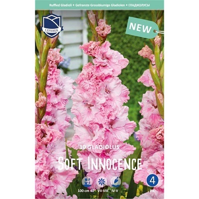 Гладиолусы Софт Инесенс 12/14 (уп.10) ЛЕФЕБЕР 82620