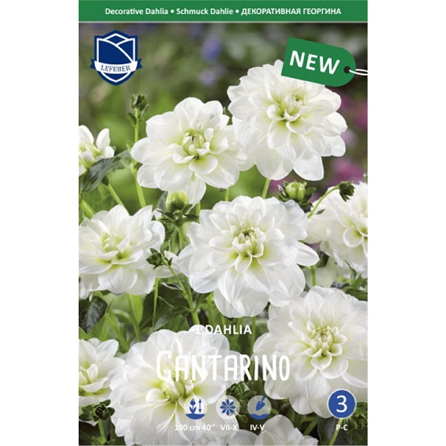 Георгина Кантарино 1 шт ЛЕФЕБР 70810