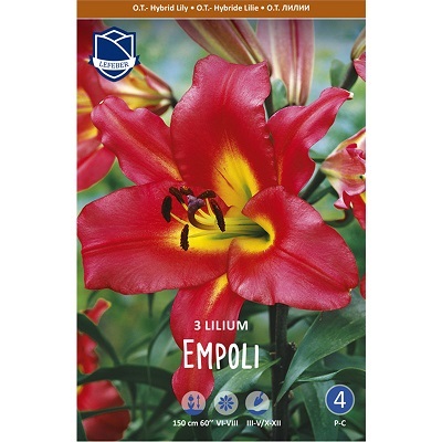 Лилии Эмполи 16/+ (уп.3) ЛЕФЕБЕР, ОТ-гибриды 63560