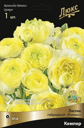 Ранункулюс Лютик