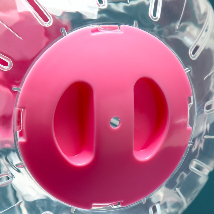 Шар для грызунов Carno, 18.5 см, розовый