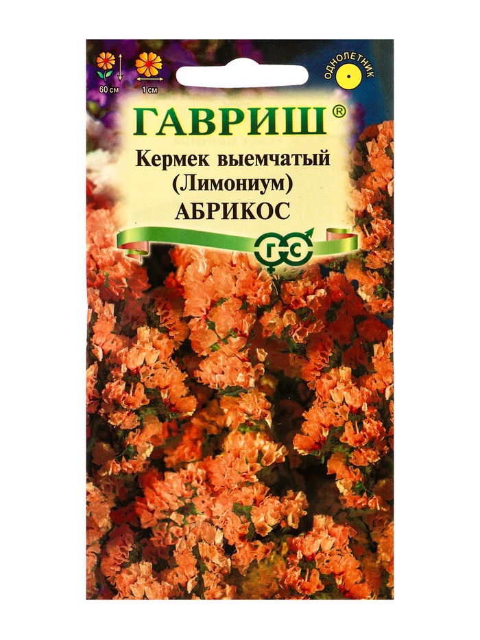 Семена цветов Кермек (Лимониум) выемчатый Абрикос* 0,05 г