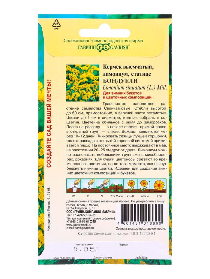 Семена цветов Кермек (Лимониум) выемчатый Бондуели 0.05 г