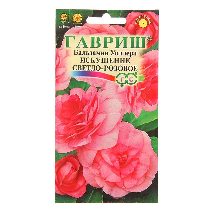 Семена цветов Бальзамин Уоллера «Искушение светло-розовое» F1, однолетнее, 4 шт., «Гавриш»