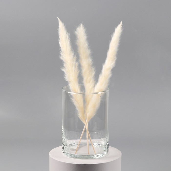 Ваза «Трубка», 1.1 л, 15×10.7 см, стекло, прозрачная