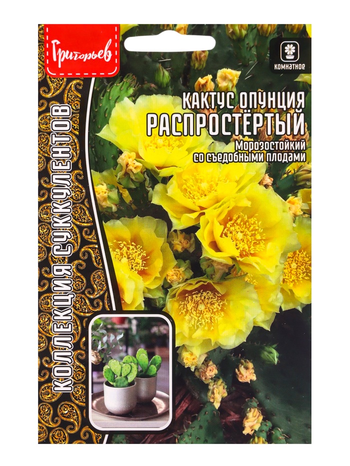 Семена цветов Кактус Распростёртый опунция 4 шт. / НОВИНКА 12.29 г.
