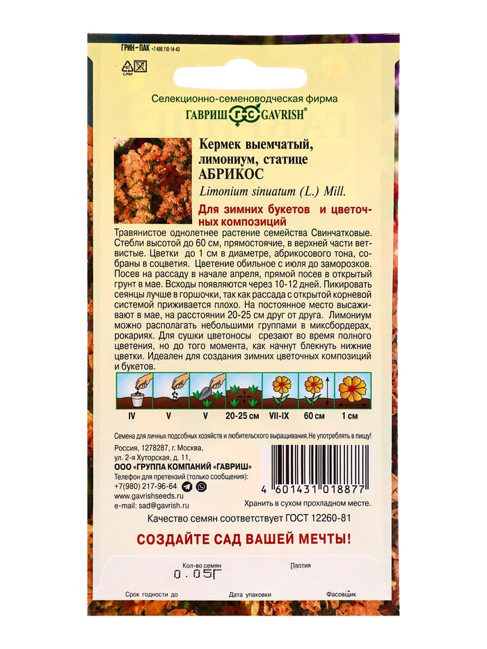 Семена цветов Кермек (Лимониум) выемчатый Абрикос* 0,05 г