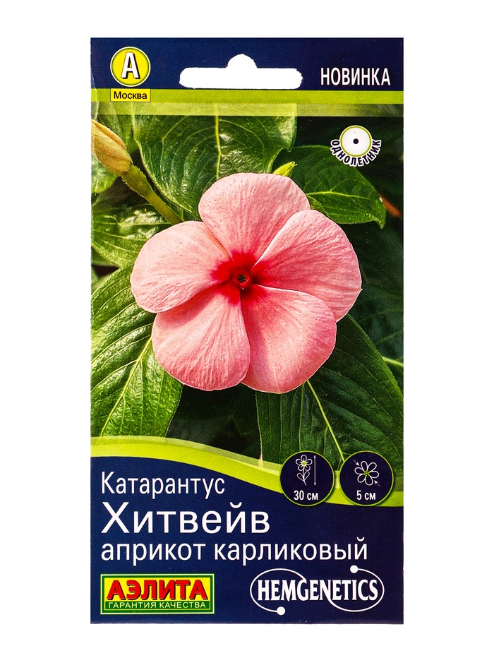 Семена цветов Катарантус Хитвейв априкот карликовый Спецсерия Hem Genetics, Ц/П,5 шт.