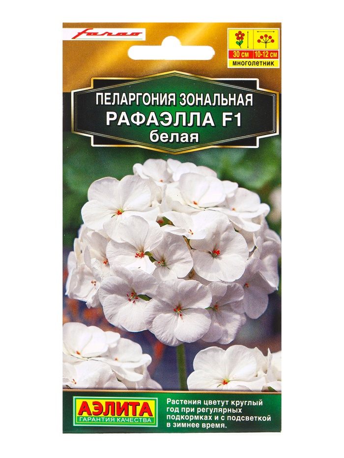 Семена цветов Пеларгония Рафаэлла F1 белая Мн С. Farao Золотая серия, Ц/П,5 шт.