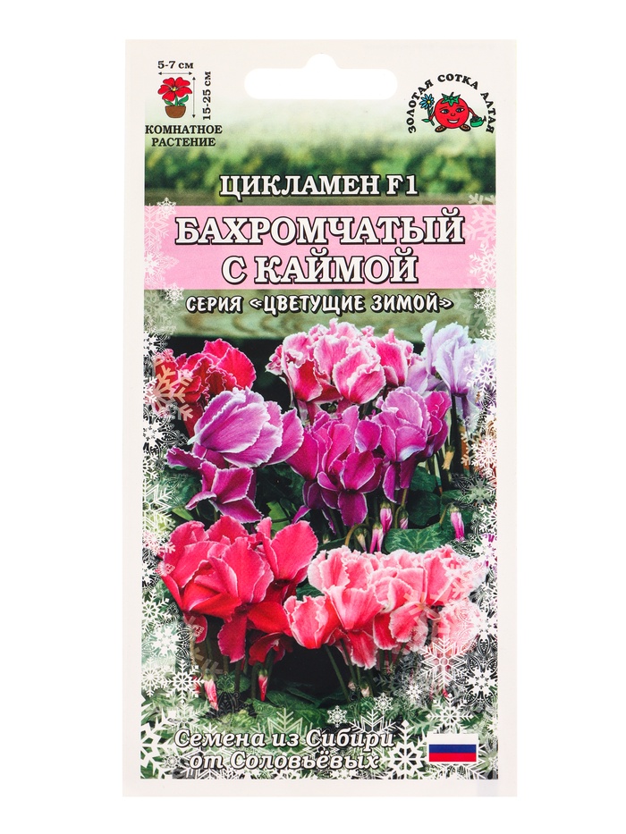 Семена комнатных цветов Цикламен «Бахромчатый с каймой», 3 шт., «Золотая Сотка Алтая»