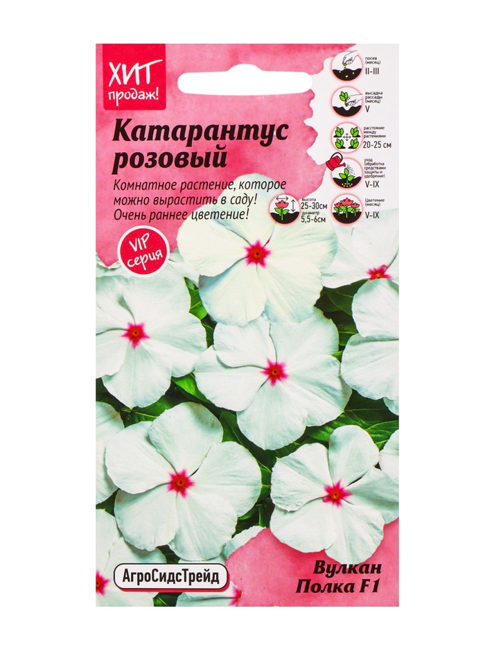 Семена цветов Катарантус розовый