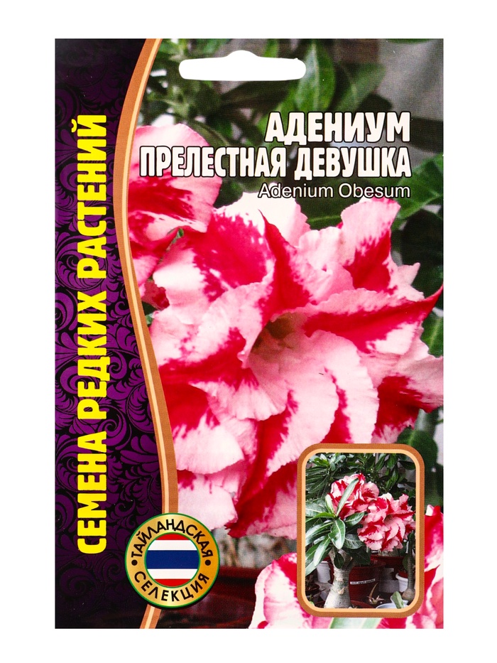 Семена цветов Адениум Прелестная Девушка 3 шт. 12.29 г.