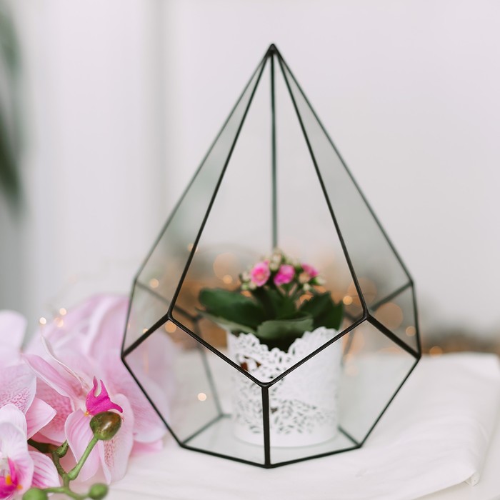 Флорариум «Пирамидка», средняя, стекло, швы чёрные