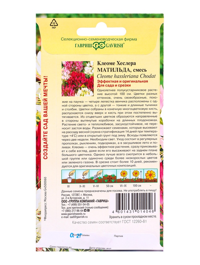 Семена цветов Клеоме Матильда (колючая) смесь 0,2 г