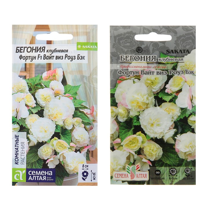 Семена цветов бегония «Вайт виз Роуз», 4 шт.