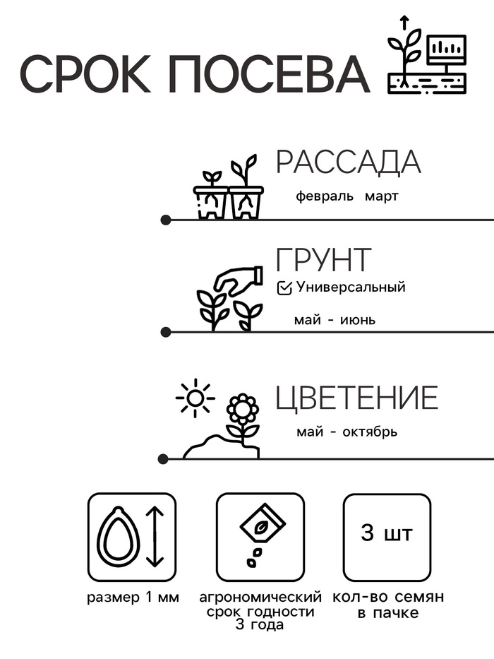 Семена цветов Пеларгония