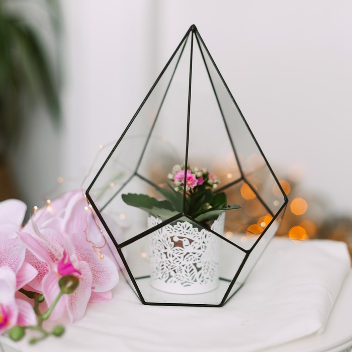 Флорариум «Пирамидка», средняя, стекло, швы чёрные