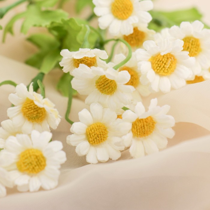 Цветы искусственные «Матрикария», h=40 см, d=2 см, белые