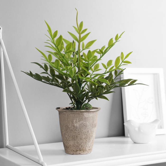 Искусственный цветок в горшке «Хамедорея эстра», 22×8.5 см, МИКС