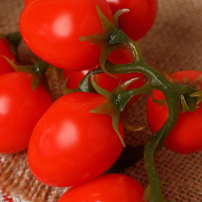 Муляж «Помидоры на ветке», 3.5×16.5 см, на ветке 16 шт., МИКС