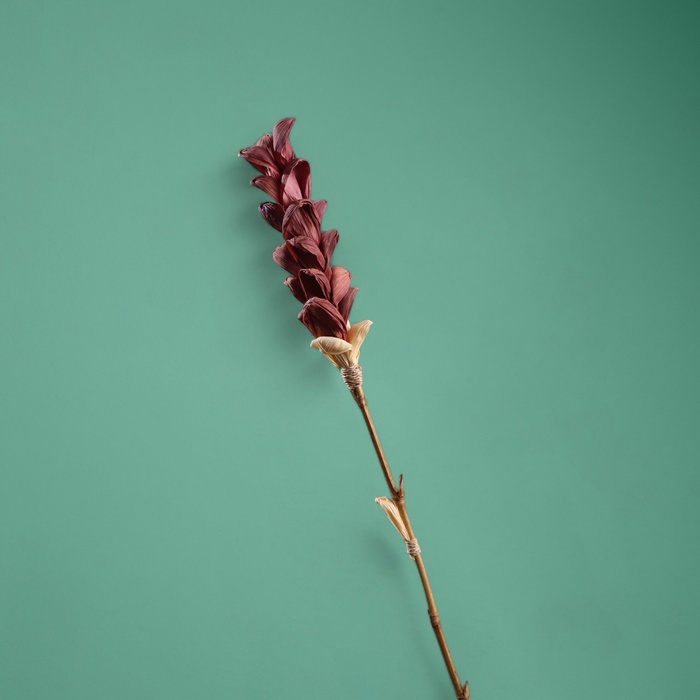 Сухоцвет на бамбуковом стебле, 150 см, фиолетовый