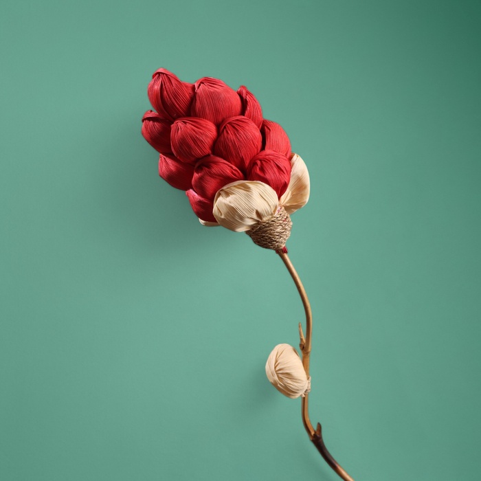 Сухоцвет на бамбуковом стебле, 150 см, красный