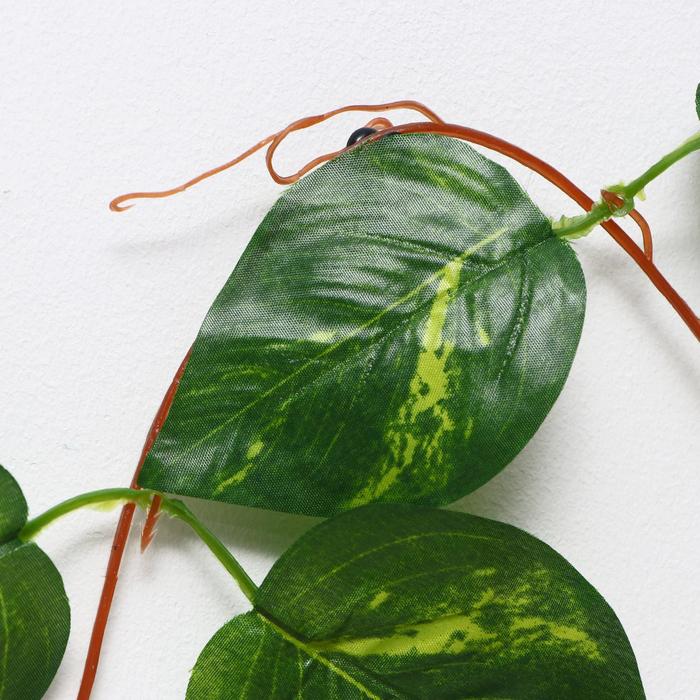 Лиана искусственная «Лист с полоской», 250 см, (в упаковке 5 шт.)